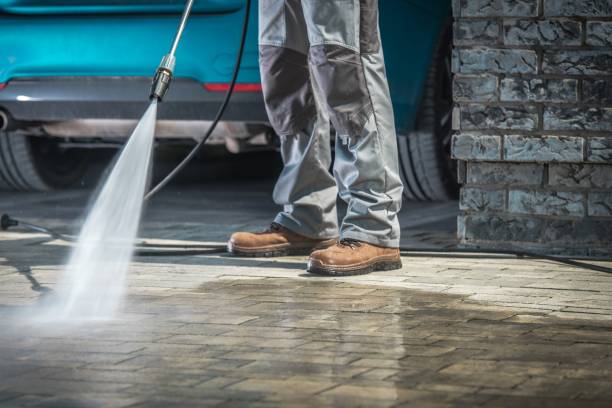 Best Pre-Holiday Cleaning  in Bellwood, IL